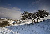2040 Above Cressbrook Dale Chris Gilbert, Ravenseye Gallery, Peak District, Photographs, Courses